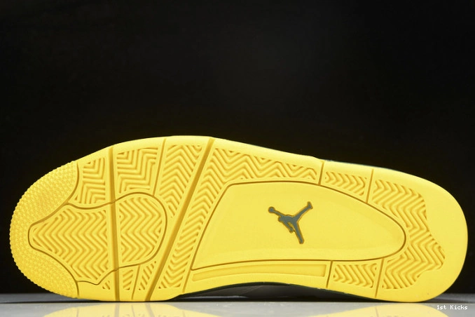 Duckman Ducks Retro Jordan 4 257-255275 Oregon 0724
